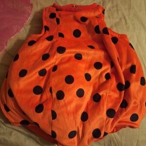 Baby Lady Bug Costume